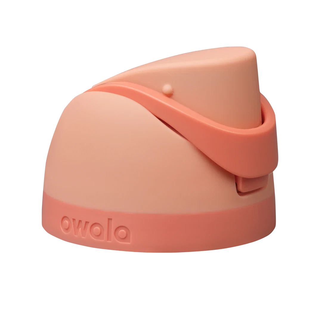 Replacement Lids Your Everyday Drinkware Addition